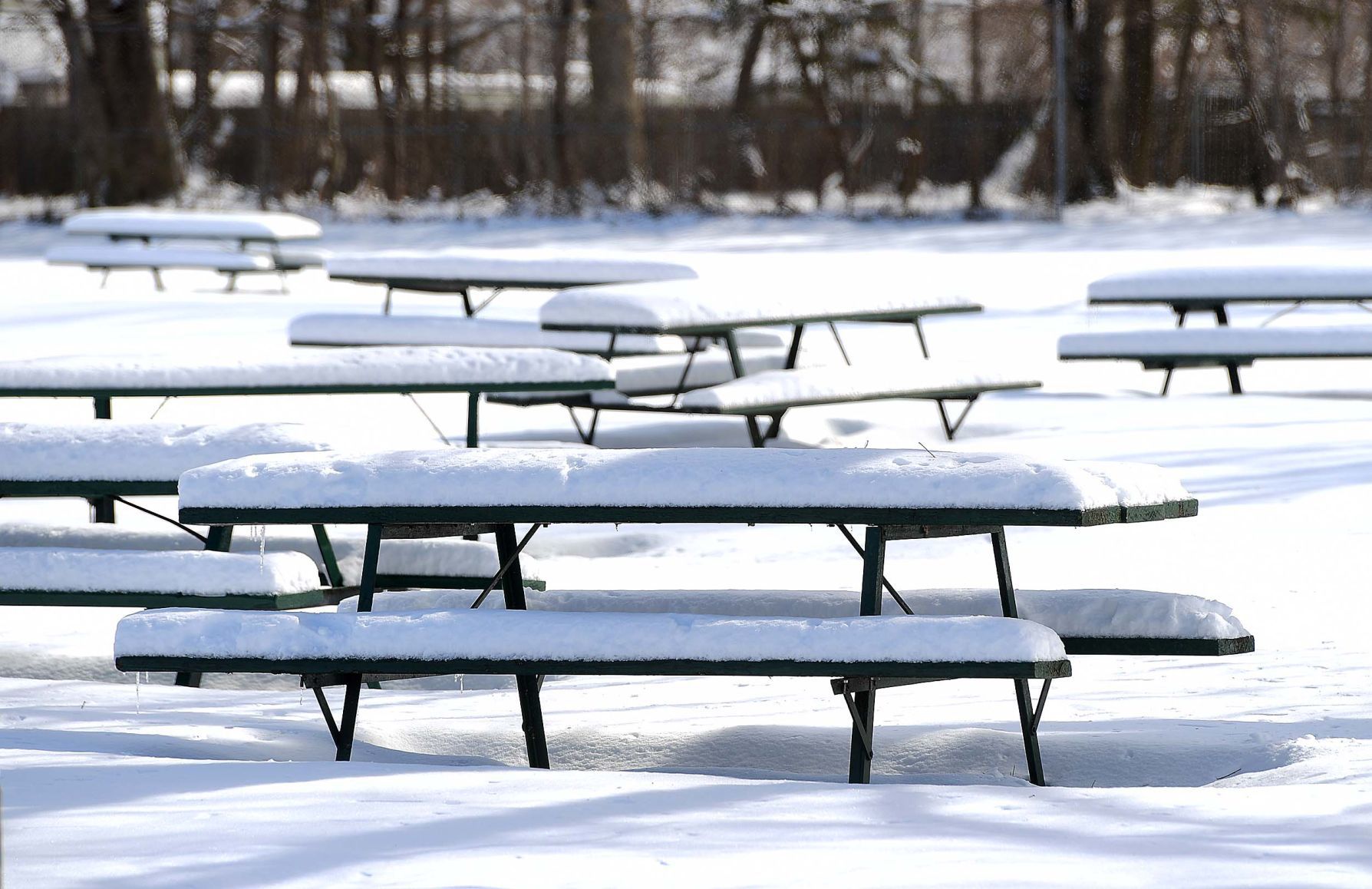 Snow 2.JPG